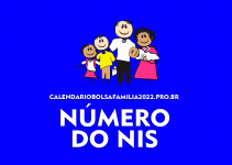 Número do NIS 2024